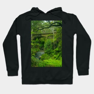 Leura Cascades curves .. take 2 Hoodie